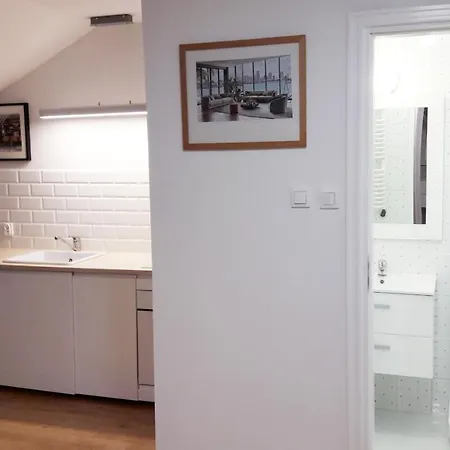Attic Close To Subway And Airport Апартаменты *